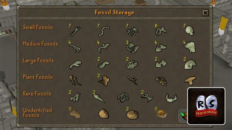 what to do with rare fossils osrs.